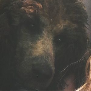 Meet your Posher, Zoey